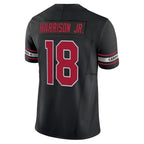 Kooe A.Cardinals #18 Marvin Harrison Jr. Player Black Vapor F.U.S.E. Limited Stitched Jerseys