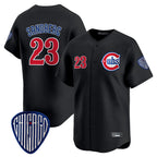 Kooe C.Cubs #23 Ryne Sandberg Player Black Vapor Premier Limited Home Stitched Jerseys