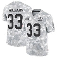 Kooe GB.Packers #33 Evan Williams Player Arctic Camo Salute To Service Limited Stitched Jerseys