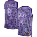 Kooe LA.Lakers #8 LeBron James Purple Select Series Swingman Stitched Jerseys