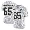 Kooe LV.Raiders #65 Tyler Linderbaum Player Arctic Camo Salute To Service Limited Game Stitched Jerseys