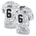 Kooe LV.Raiders #6 A.J. Cole Player Arctic Camo Salute To Service Limited Game Stitched Jerseys