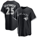 Kooe T.Blue Jays #25 Anthony Santander Player Black City Connect Limited Stitched Jerseys