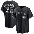Kooe T.Blue Jays #25 Anthony Santander Player Black City Connect Limited Stitched Jerseys
